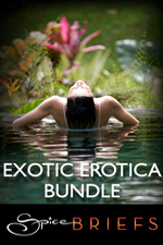 Exotic Erotica